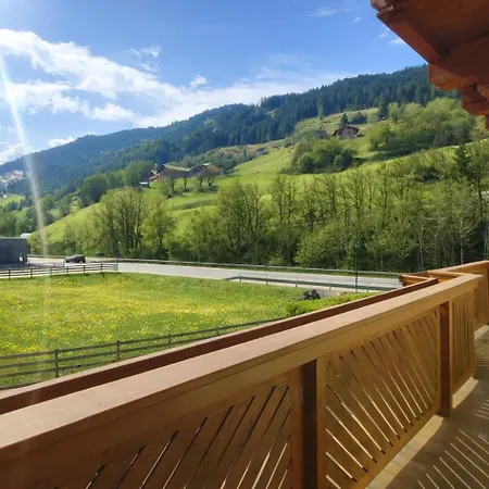 Haus Viehhauser Karl * Grossarl
